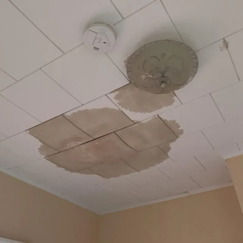 Ceiling Water Damage Repair in New City, IL