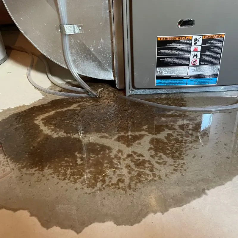 Pipe Burst and Leak Restoration in New City, IL