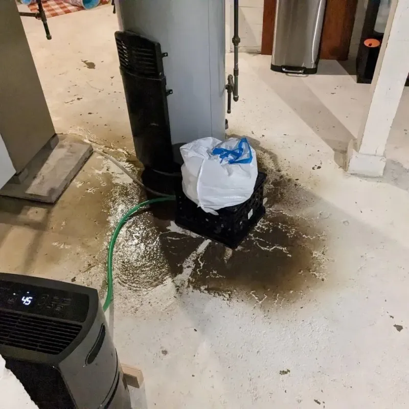 Sewage Backup Cleanup Service in New City, IL